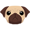 Pug
